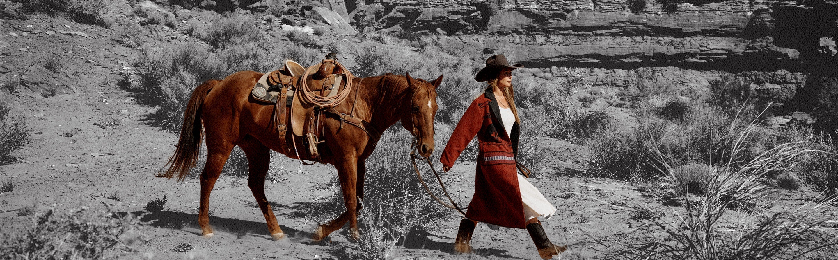 woman leading horse through desert
