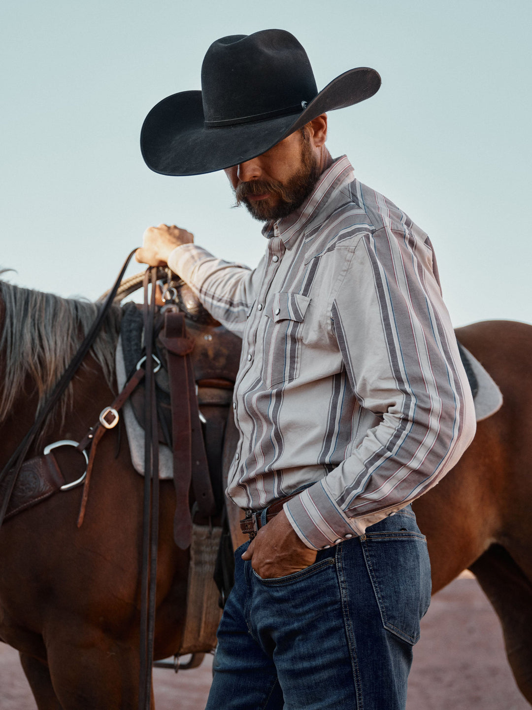 Men's Shirts