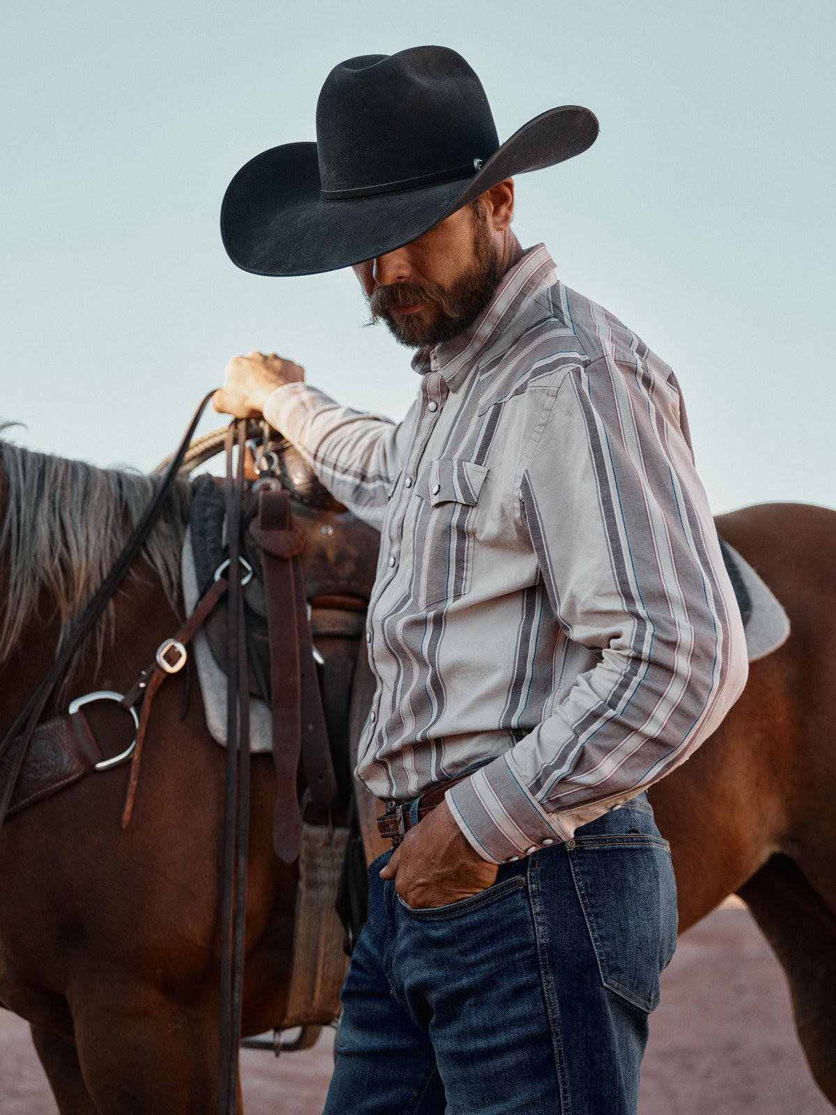 Men's Shirts