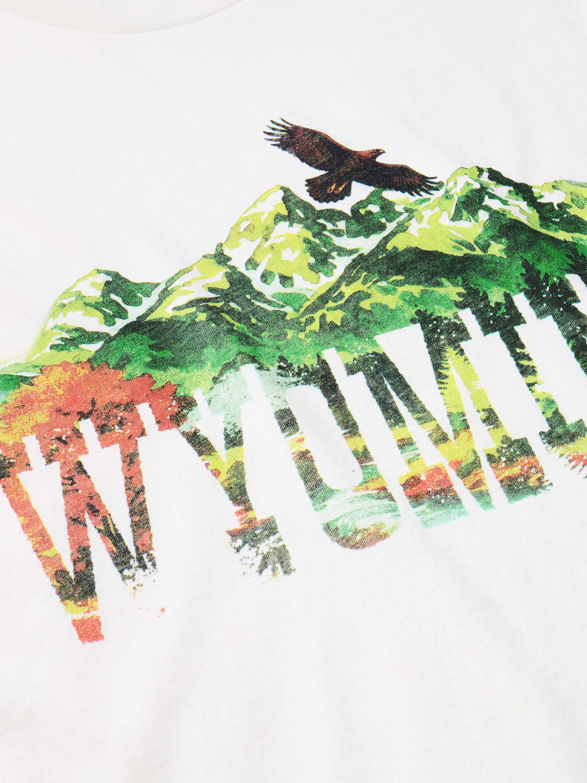 Bone t-shirt with colorful Wyoming graphic and bird design on front