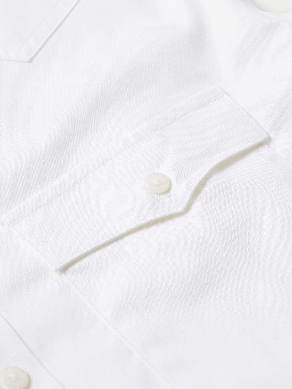Classic Western Pinpoint Button-Down - Schaefer Outfitter