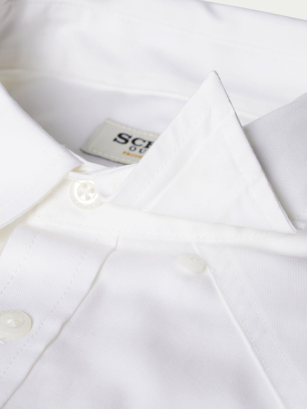Classic Western Pinpoint Button-Down - Schaefer Outfitter