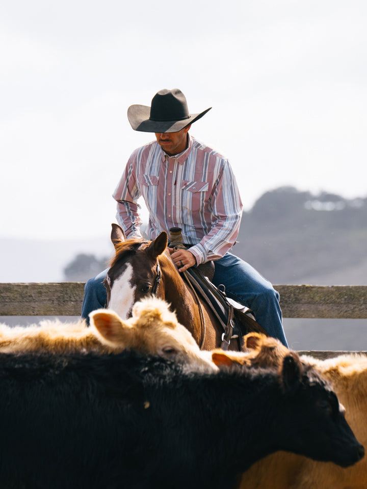RangeTek Western Guide Snap Shirt - Schaefer Outfitter