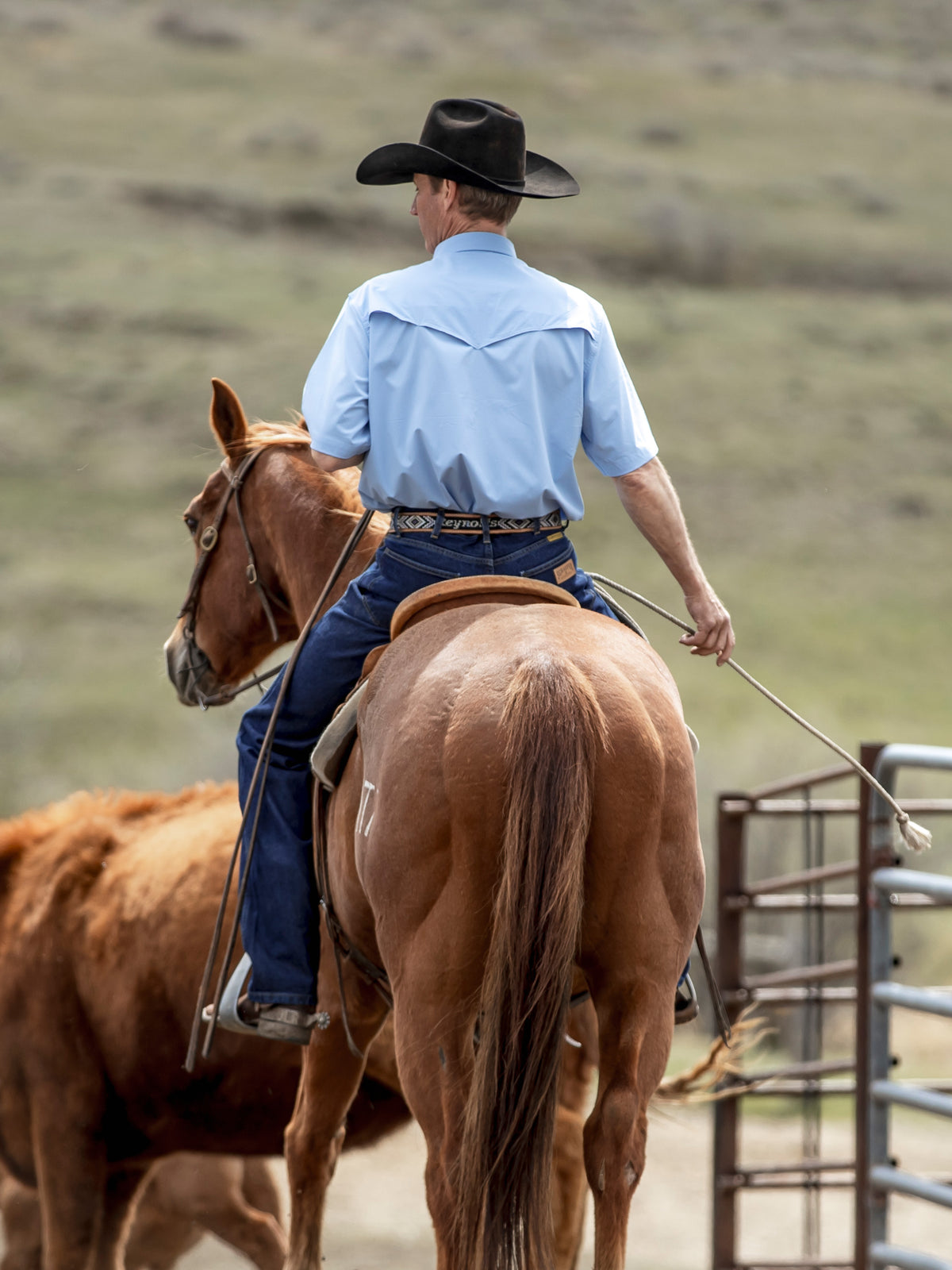 Sky blue short-sleeve western snap shirt from back while riding a horse