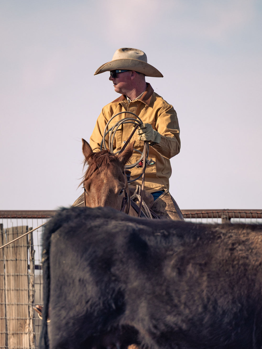 Texas Ranger Fenceline Brush Jacket - Schaefer Outfitter