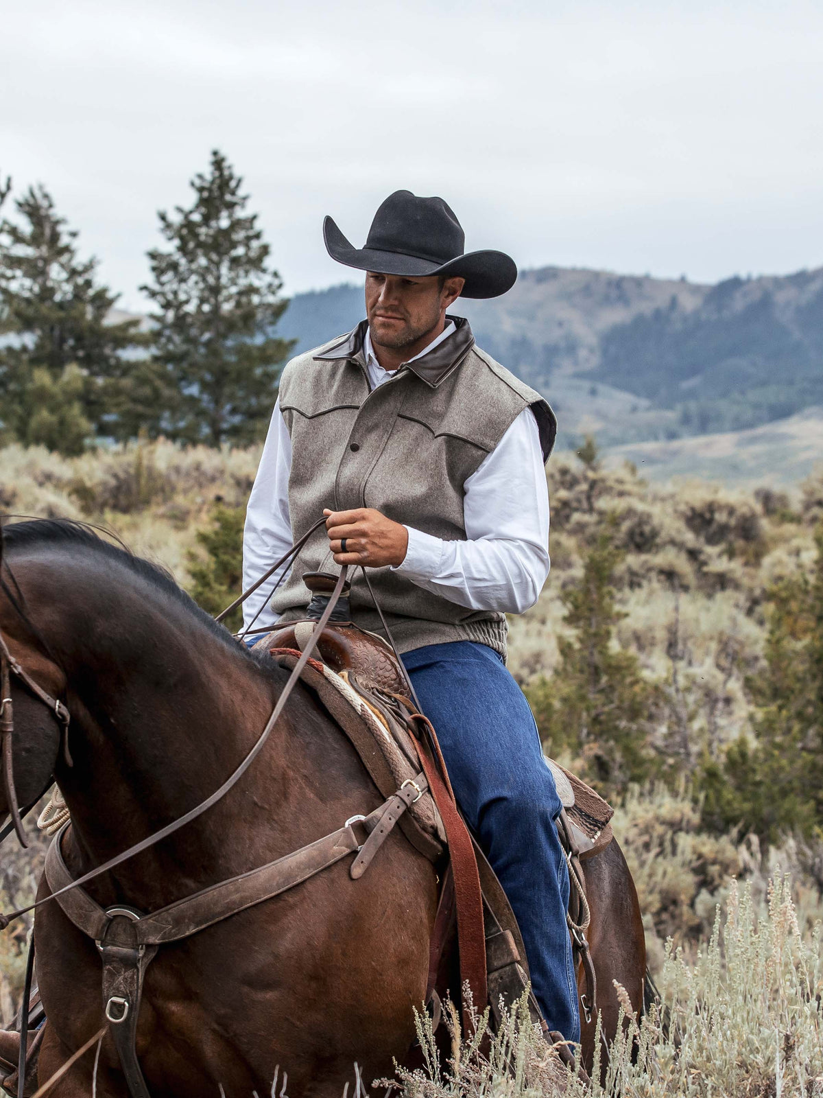 Cattle King Wool Vest - Schaefer Outfitter
