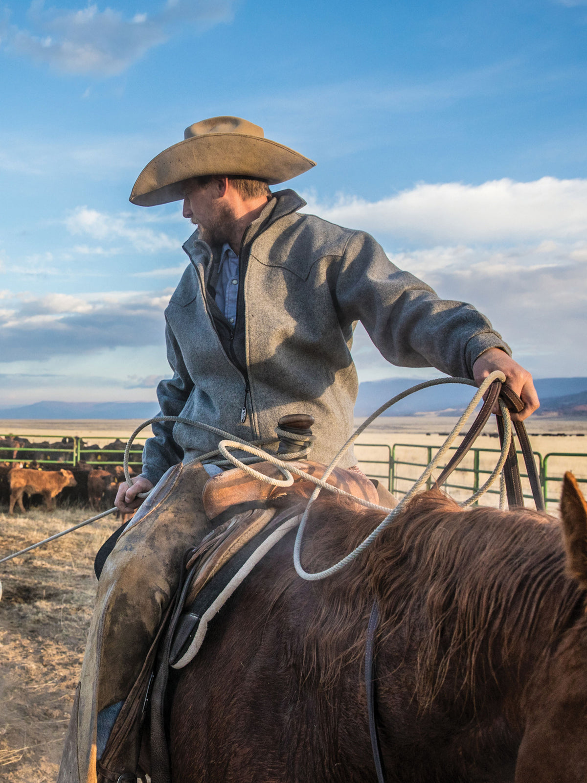 Wool Arena Jacket - Schaefer Outfitter