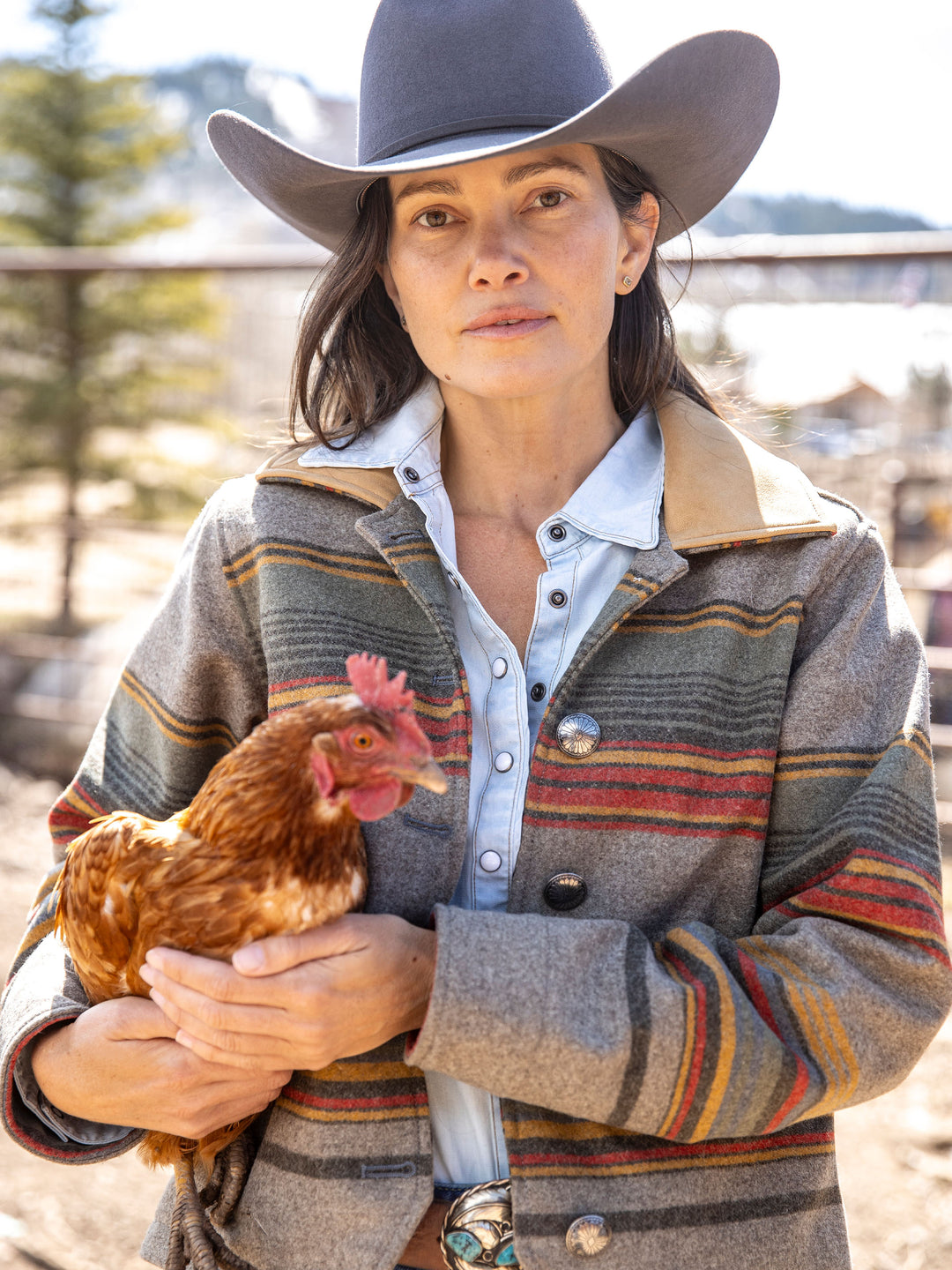 Women's Las Cruces Jacket With Leather Collar - Schaefer Outfitter